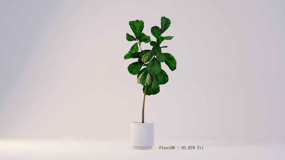 PlantDecorVol.2 