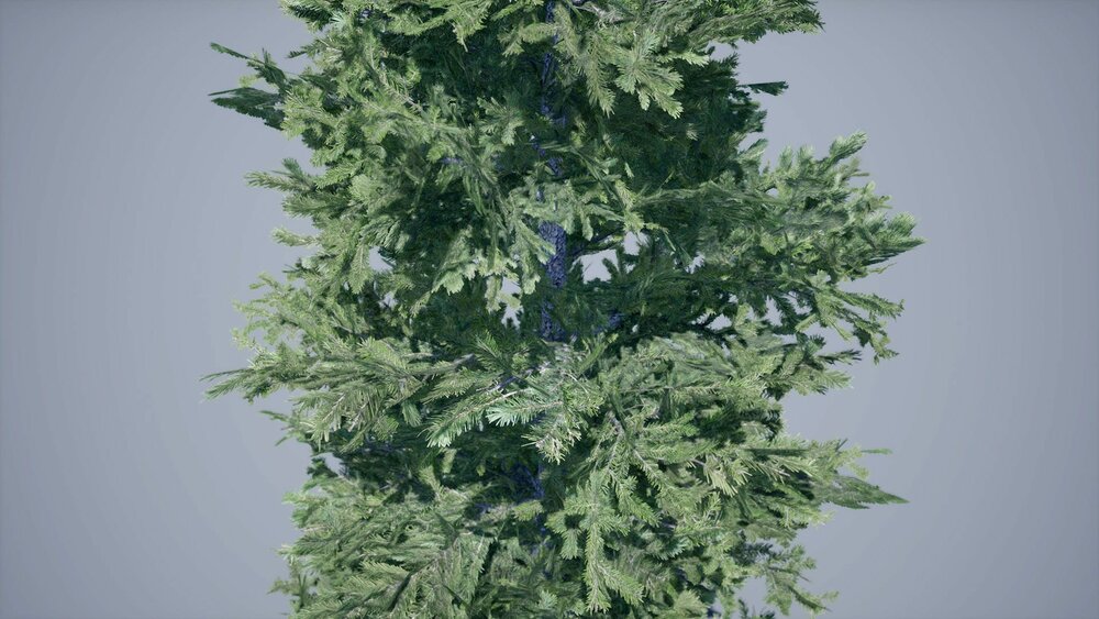 Realistic Foliage Vol. 2 "Trees" by DAS 