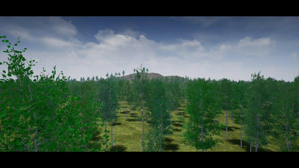 Realistic Foliage Vol. 2 "Trees" by DAS 