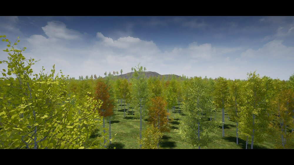 Realistic Foliage Vol. 2 "Trees" by DAS 