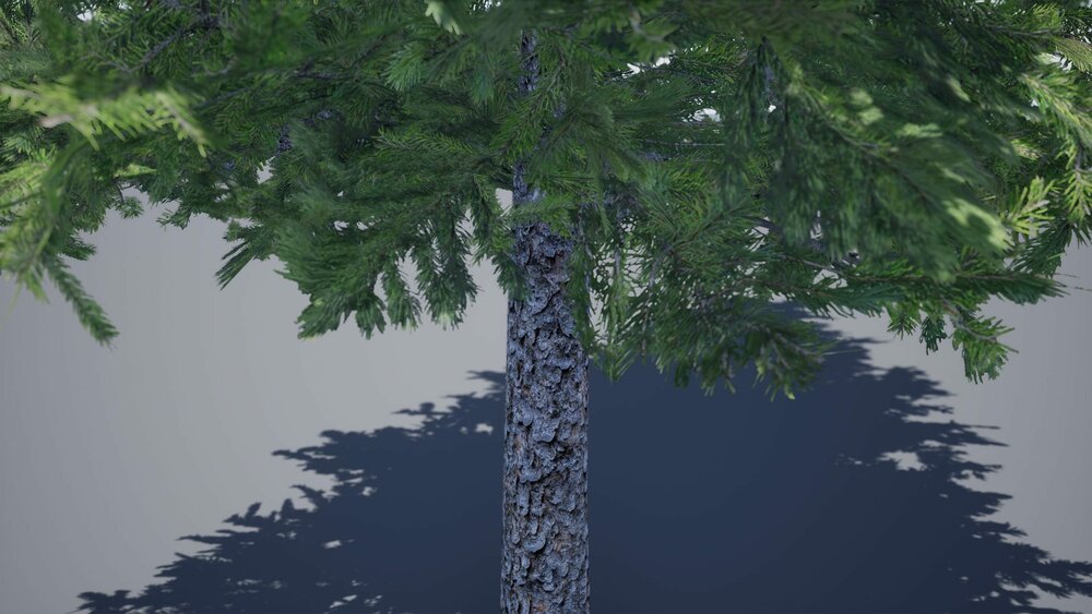 Realistic Foliage Vol. 2 "Trees" by DAS 