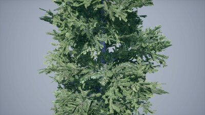 Realistic Foliage Vol. 2 "Trees" by DAS 