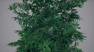 Realistic Foliage Vol. 2 "Trees" by DAS 