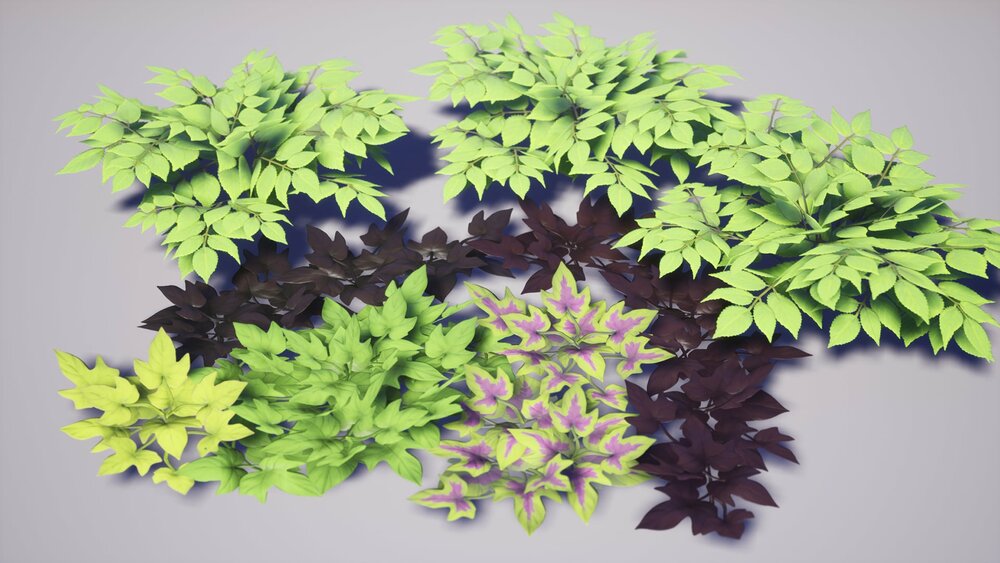 Garden Foliage Pack 