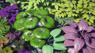 Garden Foliage Pack 