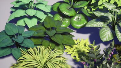 Garden Foliage Pack 