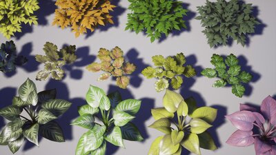 Garden Foliage Pack 