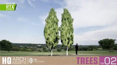 HQ Trees Vol. 2 