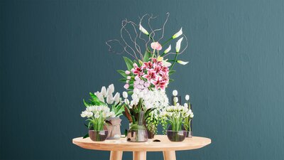 FlowerDecor Vol.5 