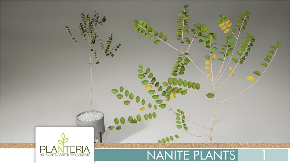 Nanite Plants Vol. 1 