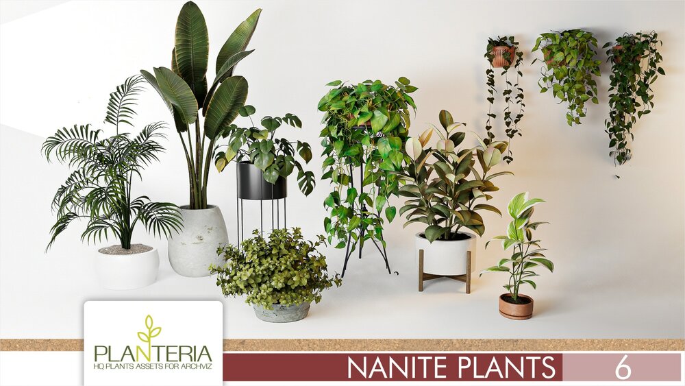 Nanite Plants Vol. 6 