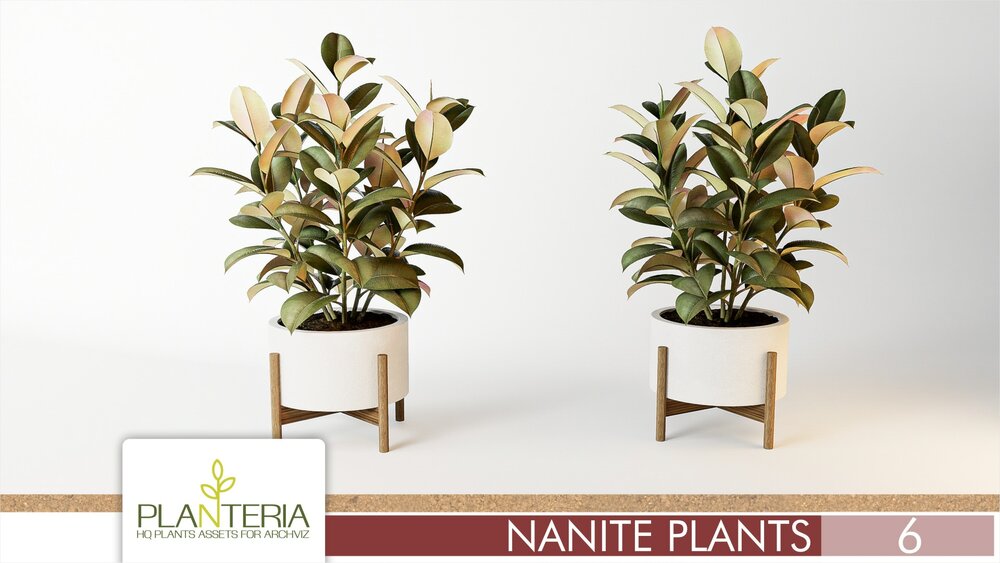 Nanite Plants Vol. 6 