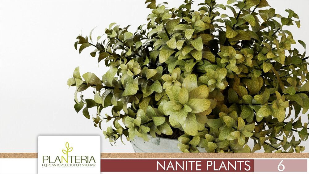 Nanite Plants Vol. 6 