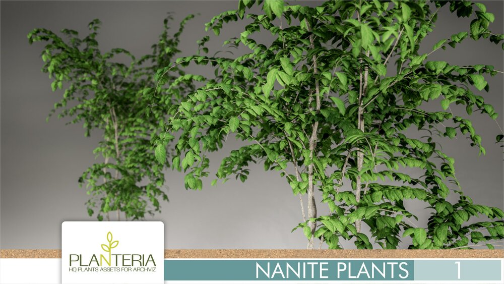 Nanite Plants Vol. 1 