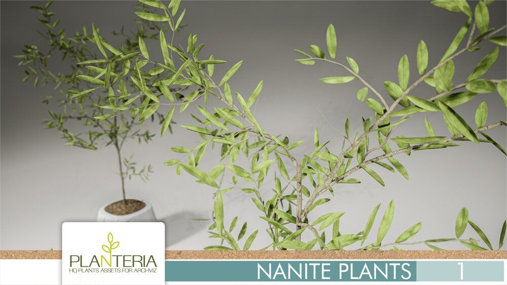 Nanite Plants Vol. 1 