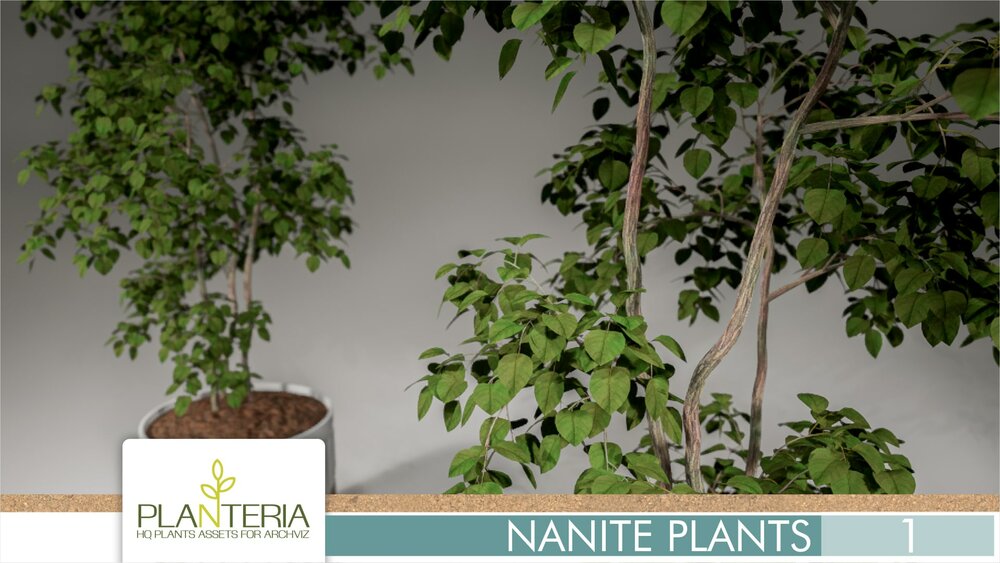 Nanite Plants Vol. 1 