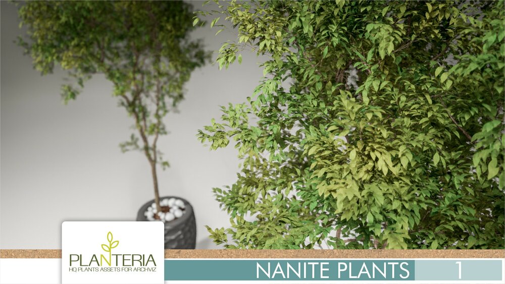 Nanite Plants Vol. 1 