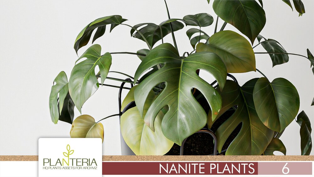 Nanite Plants Vol. 6 