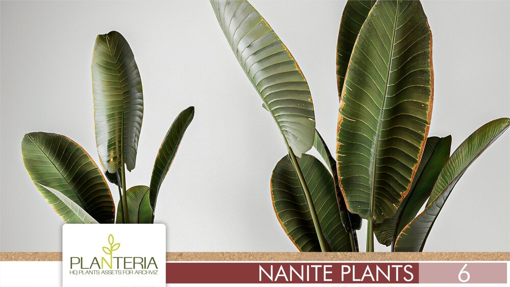 Nanite Plants Vol. 6 