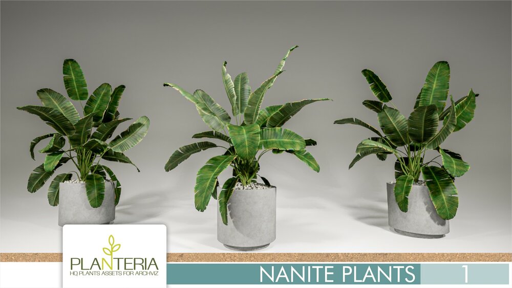 Nanite Plants Vol. 1 