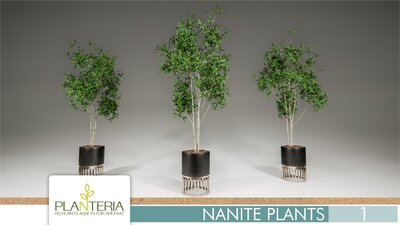 Nanite Plants Vol. 1 