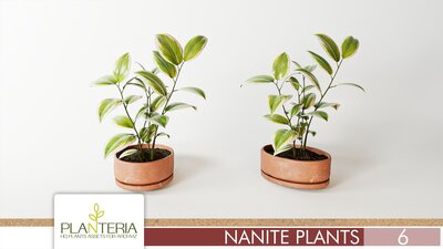 Nanite Plants Vol. 6 