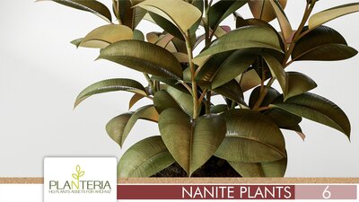 Nanite Plants Vol. 6 