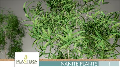 Nanite Plants Vol. 1 