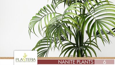 Nanite Plants Vol. 6 