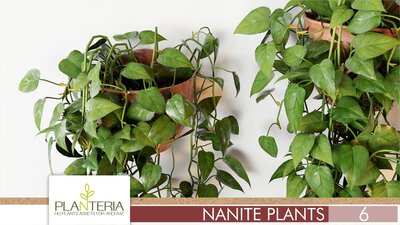 Nanite Plants Vol. 6 