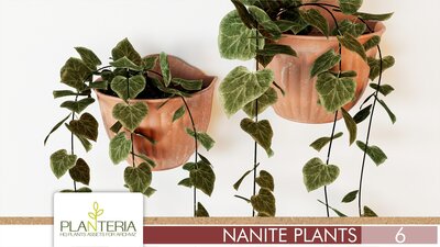 Nanite Plants Vol. 6 