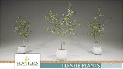 Nanite Plants Vol. 1 