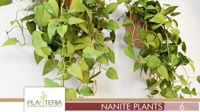 Nanite Plants Vol. 6 