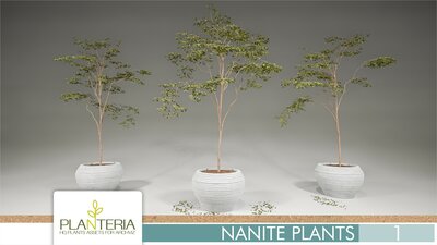 Nanite Plants Vol. 1 