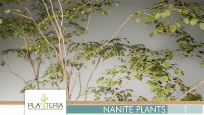 Nanite Plants Vol. 1 