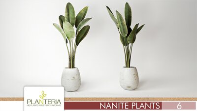 Nanite Plants Vol. 6 