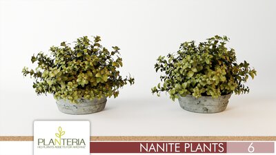 Nanite Plants Vol. 6 