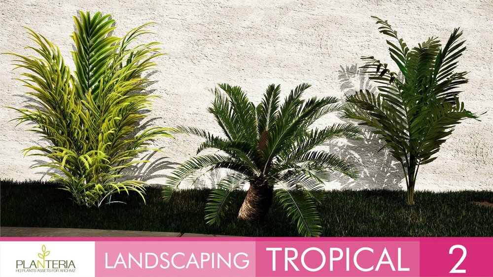 Landscaping Tropical 2 