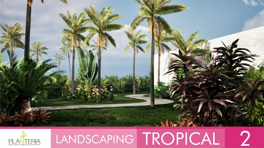 Landscaping Tropical 2 