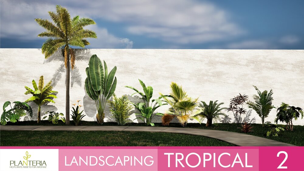 Landscaping Tropical 2 