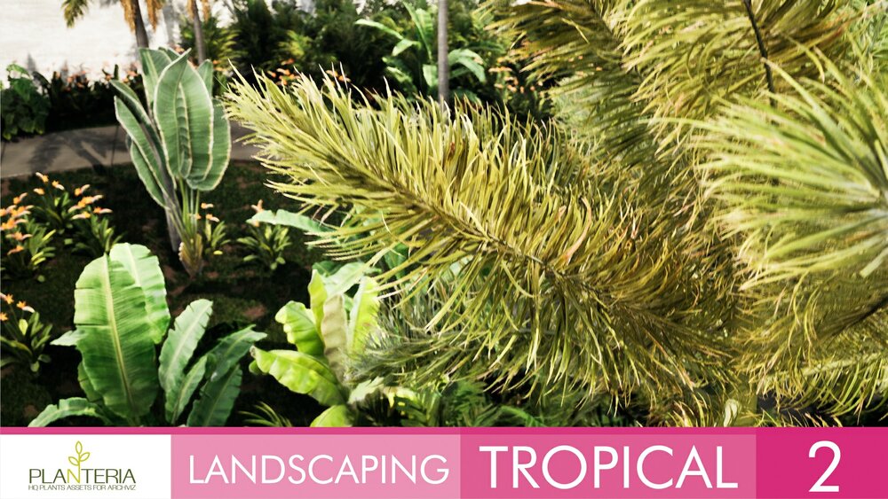 Landscaping Tropical 2 