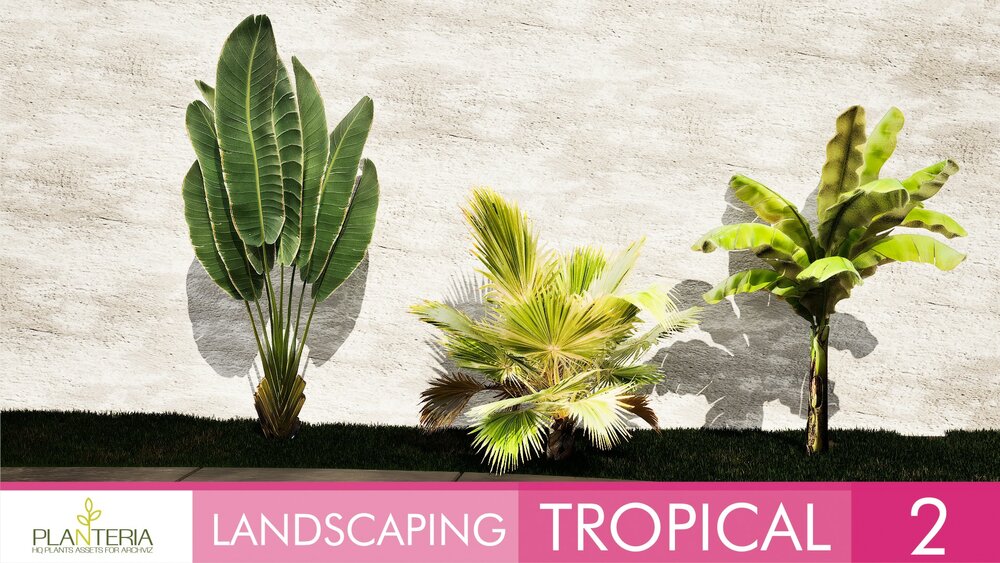 Landscaping Tropical 2 