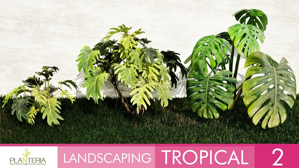 Landscaping Tropical 2 