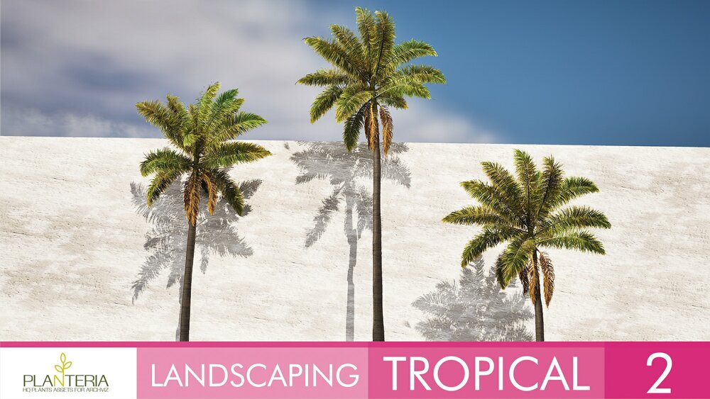 Landscaping Tropical 2 