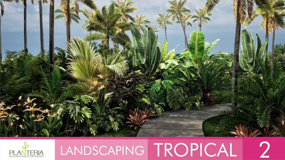 Landscaping Tropical 2 