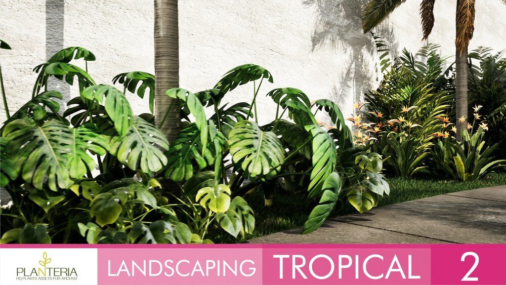 Landscaping Tropical 2 