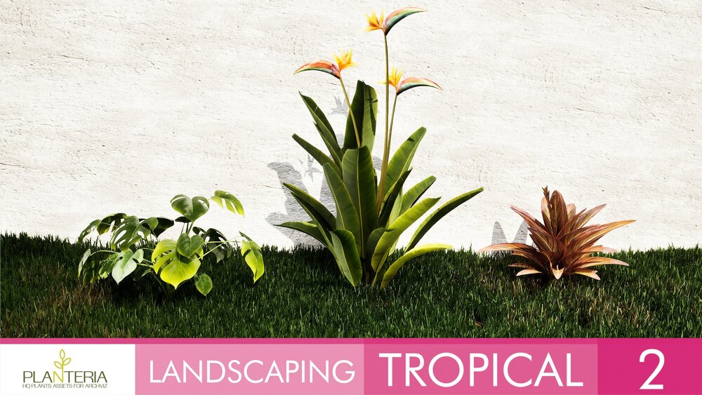 Landscaping Tropical 2 