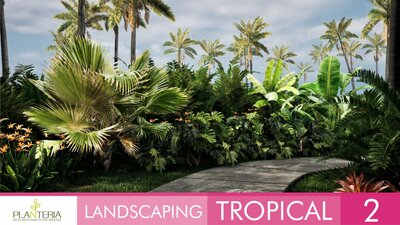 Landscaping Tropical 2 