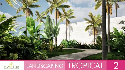 Landscaping Tropical 2 