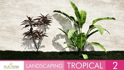 Landscaping Tropical 2 